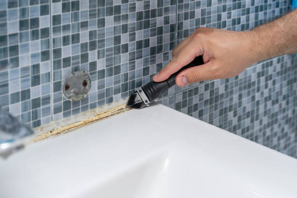 Best Same-Day Mold Removal  in North Pearsall, TX