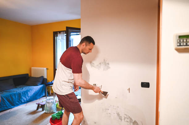 Best Residential Mold Removal  in North Pearsall, TX