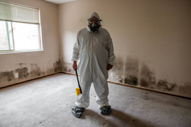 Best Certified Mold Removal  in North Pearsall, TX